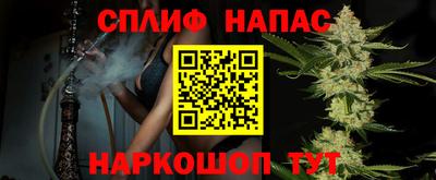 a pvp Будённовск