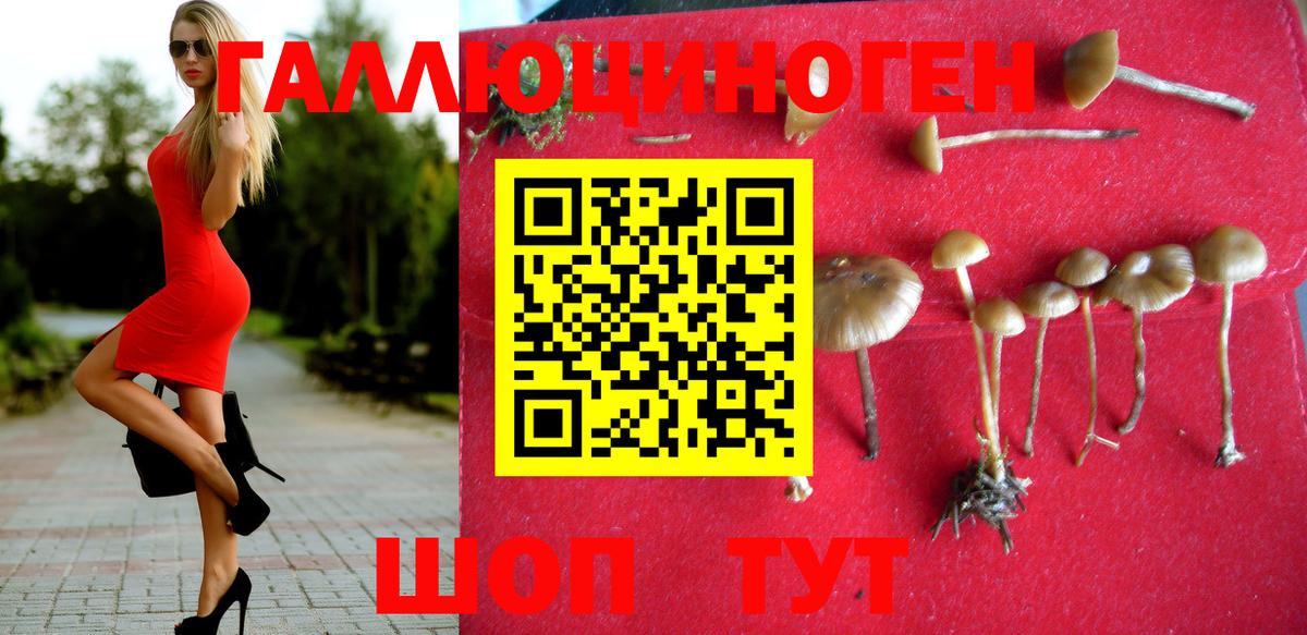 Псилоцибиновые грибы мицелий Семилуки