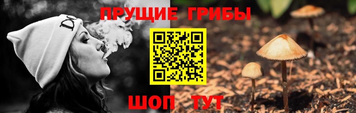 Семилуки  Псилоцибиновые грибы Magic Shrooms  как найти наркотики  Вход с VPN 